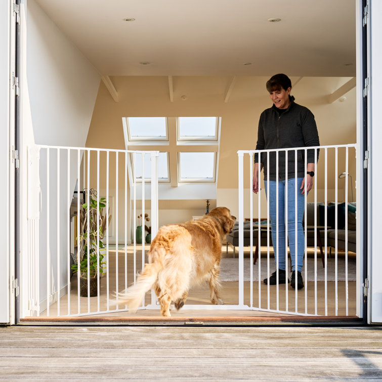 Dog sale gates wayfair